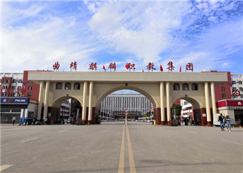 云南曲靖护理学校2021年五年一贯制招生标准